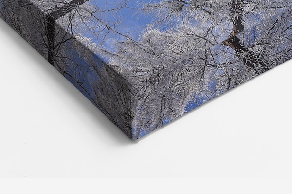 Tablou Canvas Coroană de Pădure cu Lumină Solară - pe perete într-un interior