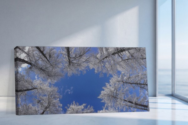 Tablou Canvas Coroană de Pădure cu Lumină Solară - pe perete într-un interior