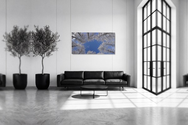 Tablou Canvas Coroană de Pădure cu Lumină Solară - pe perete într-un interior
