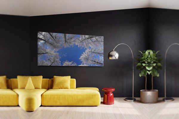 Tablou Canvas Coroană de Pădure cu Lumină Solară - pe perete într-un interior