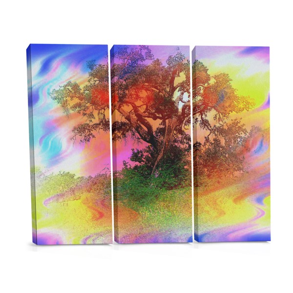 Stampa su Tela Albero Astratto Colorato