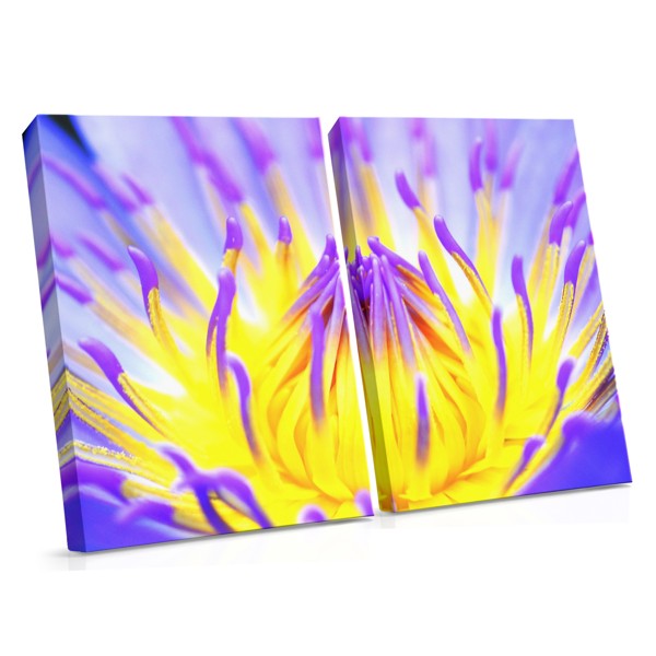 Kleurrijk Blad Close-Up Canvas Print