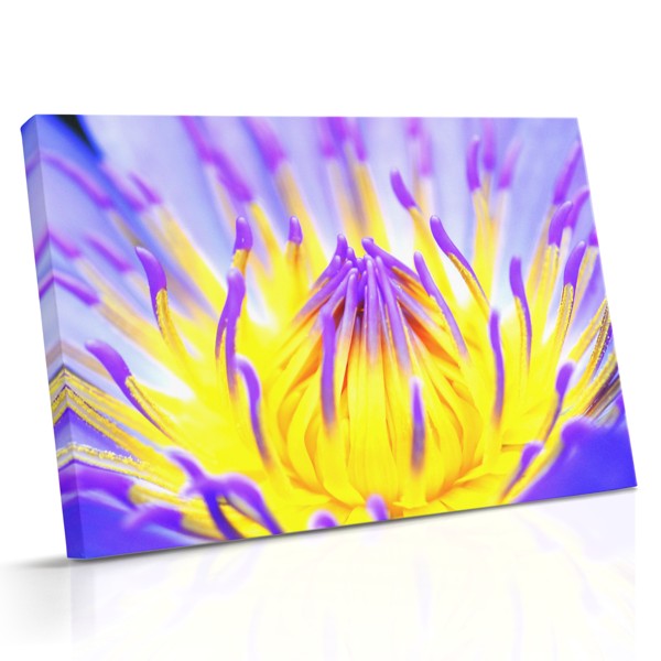 Krāsains lapu tuvplāns audekla prints
