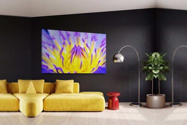 Tablou Canvas Frunză Colorată în Prim-Plan - pe perete într-un interior