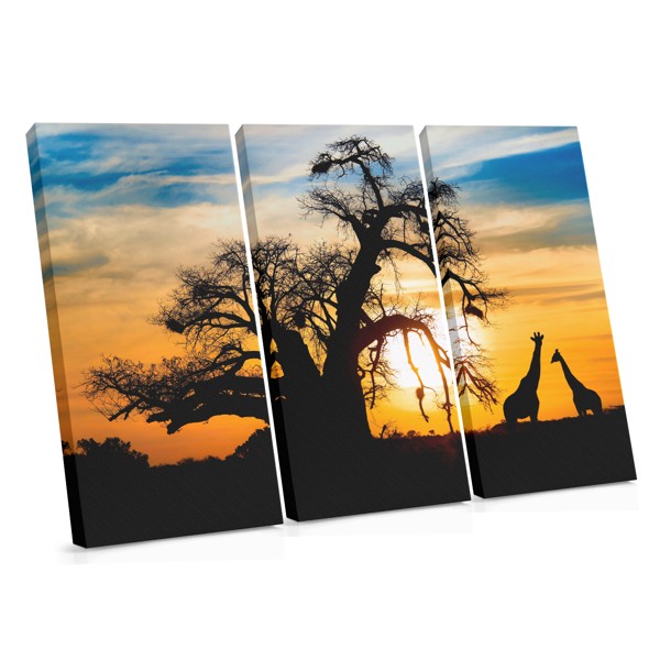 Stampa su Tela Tramonto a Savannah