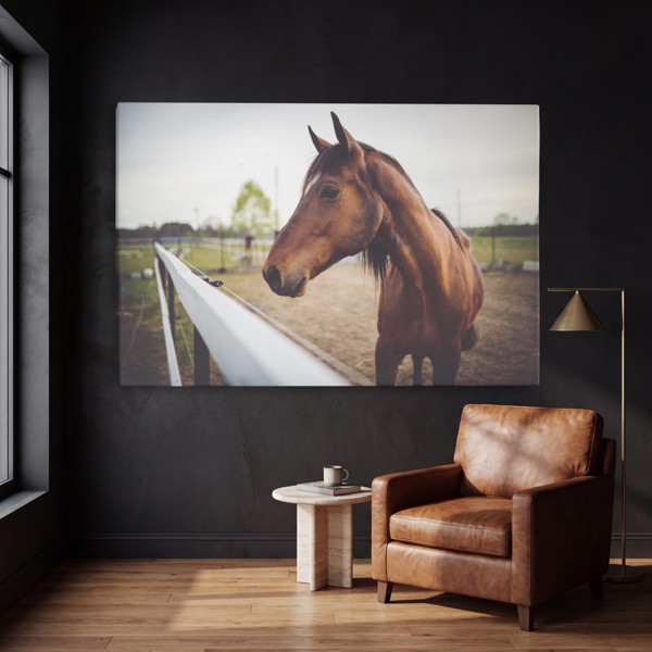 Ensam hingst porträtt canvas tryck - på väggen i ett rum