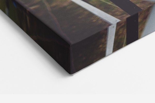 Ensam hingst porträtt canvas tryck - på väggen i ett rum
