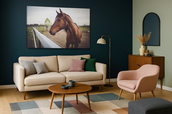 Ensam hingst porträtt canvas tryck - på väggen i ett rum