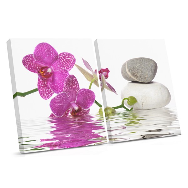 Vodné kvety Feng Shui Canvas Print