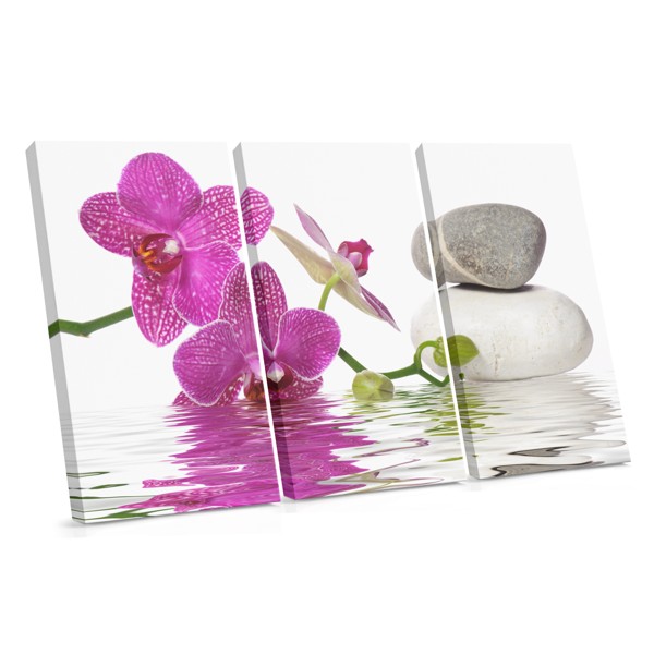 Vattenblommor Feng Shui Canvastavla