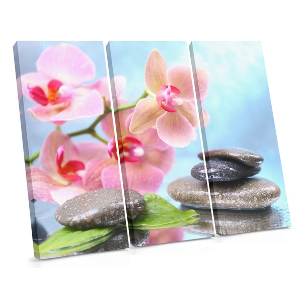River Stones and Water Lilies Canvas Print