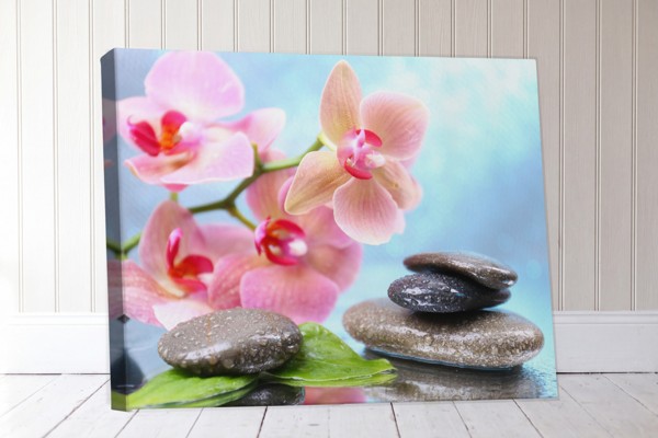 Rivier Stenen en Waterlelies Canvas Print - aan de muur in een interieur
