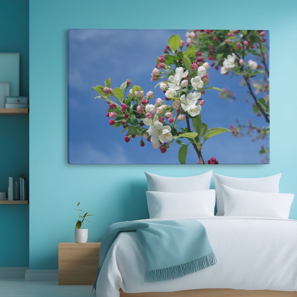Frühjahrsblüten-Baum Leinwanddruck - an der Wand in einem Raum