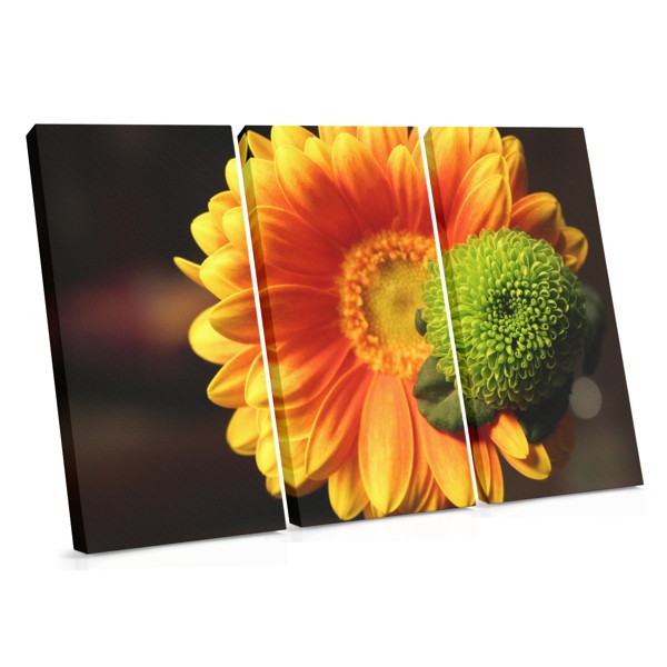 Gerbera lillekollaaži kanvaspilt