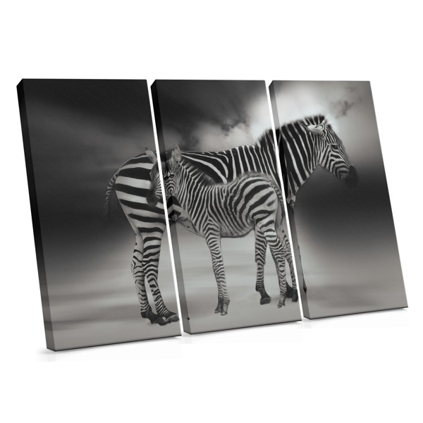 Zebra-Porträt im Nebel Leinwanddruck