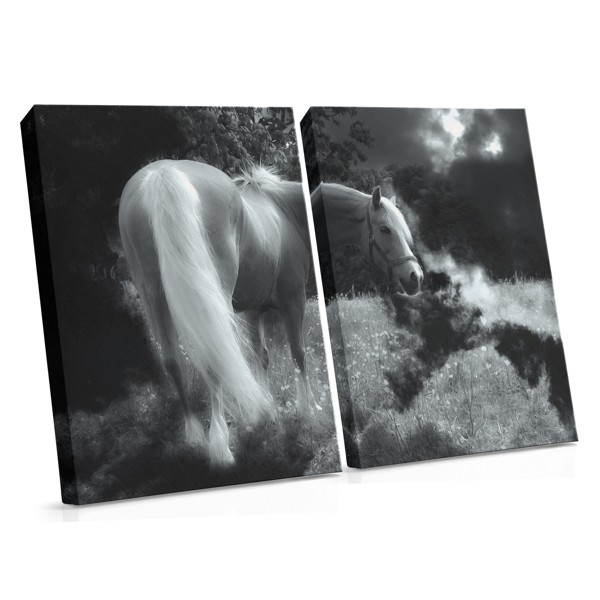 Chevaux Sauvages en Mouvement Toile