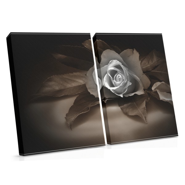 Impression sur Toile Roses en Papier