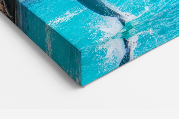 Dolphins in Motion Canvas Print - on the wall in a room interior
