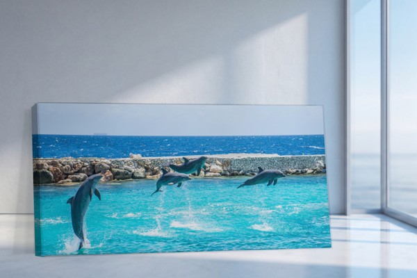 Dolphins in Motion Canvas Print - on the wall in a room interior