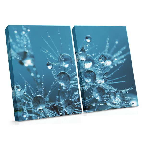 Waterdruppels op ijs canvas print