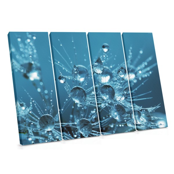 Water Droplets on Ice Canvas Print