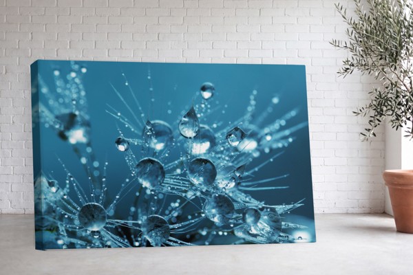 Wassertropfen auf Eis Leinwanddruck - an der Wand in einem Raum