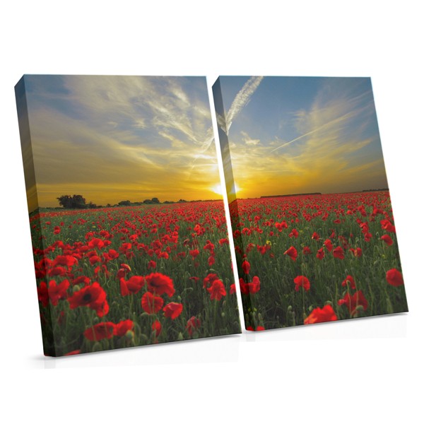 Rote Mohnblume bei Sonnenuntergang Leinwanddruck