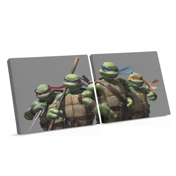 Ninja Turtles Canvas Print