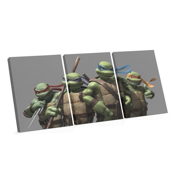 Ninja Turtles na Spot Canvas Print