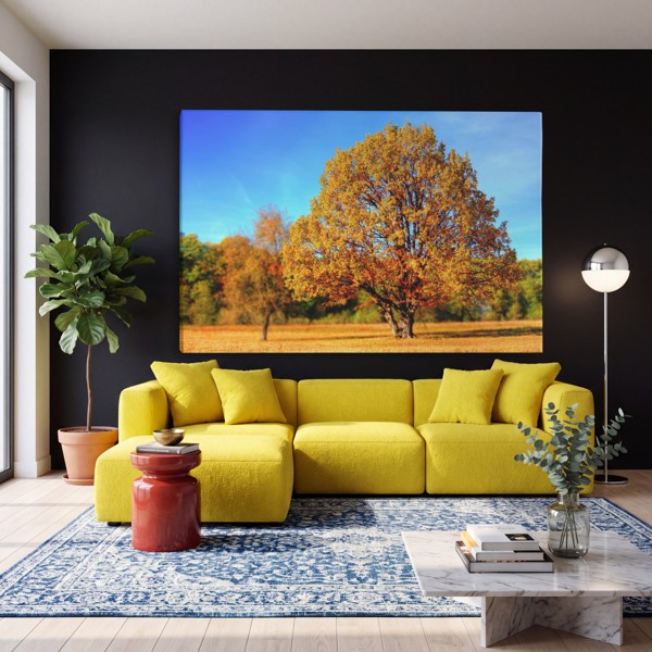 Green Lily Pad on Dark Water Canvas Print - on the wall in a room interior