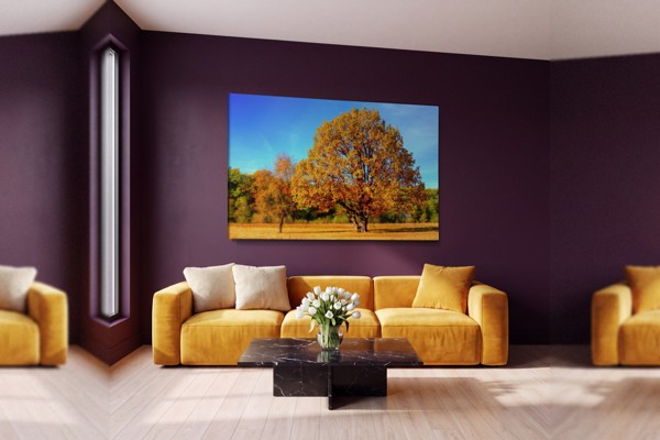 Green Lily Pad on Dark Water Canvas Print - on the wall in a room interior