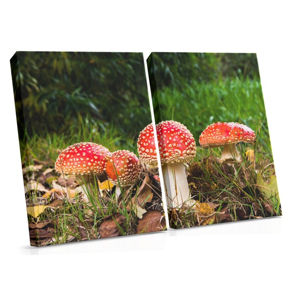 Impression sur Toile Champignons de Forêt