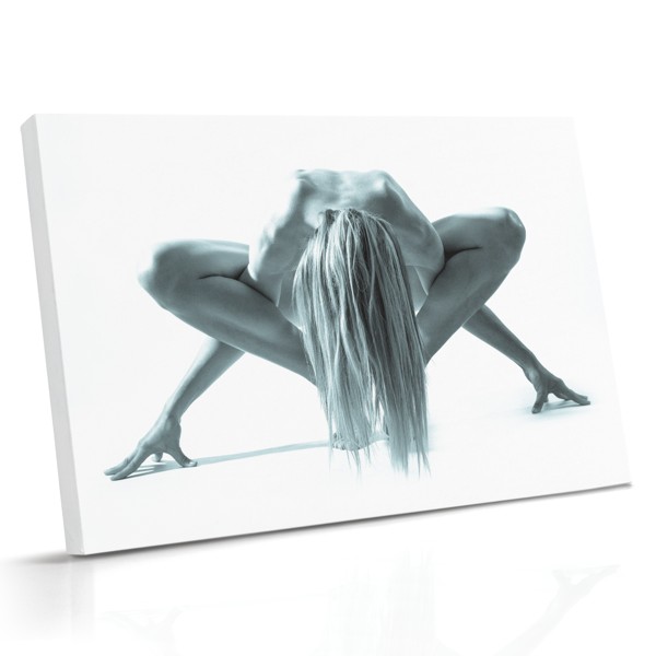 Vlinder Body Art Canvas Print