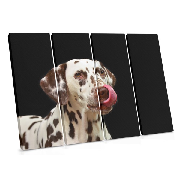 Tablou pe pânză Portret Câine Dalmatian