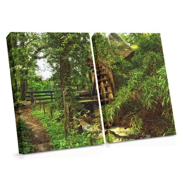 Bospad Door Vers Groen Bladerwerk Canvas Print
