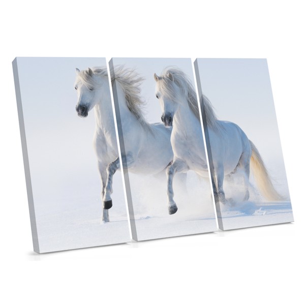 Impressão em Tela Cavalos Brancos na Neve