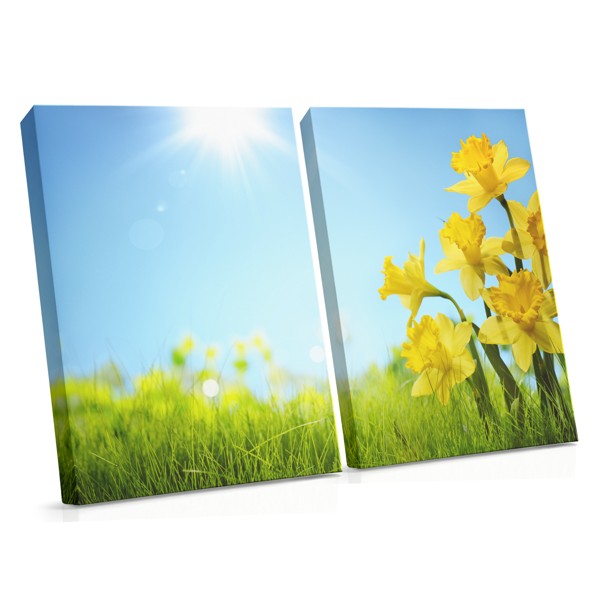 Stampa su Tela Fiori Primaverili alla Luce del Sole
