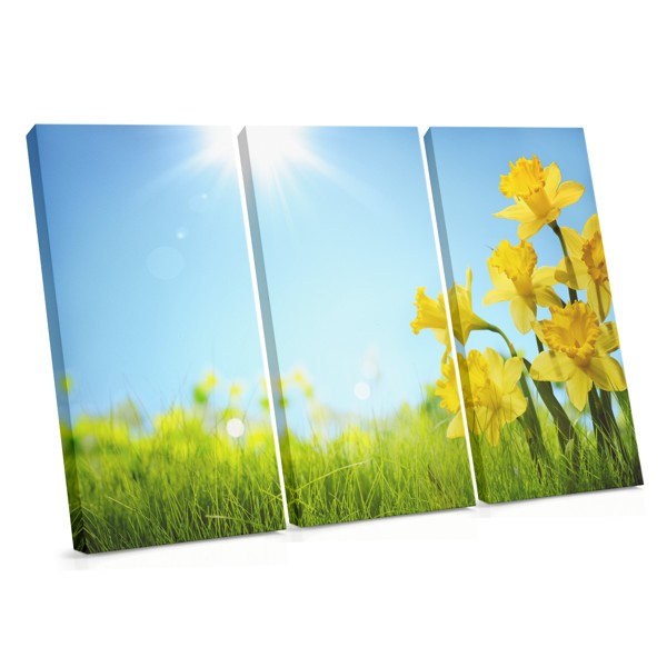 Spring Sunlight Through Flowers Canvas Print
