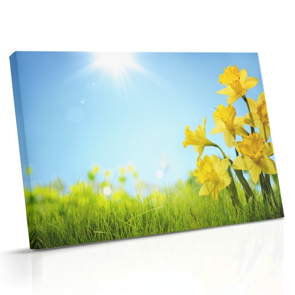 Zonnige lentebloemen gloeien in warme gelen en zachte groenen tegen een mistige lucht