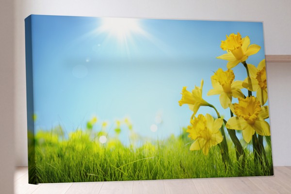 Lentebloemen in Zonlicht Canvas Print - aan de muur in een interieur