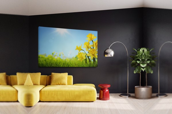 Lentebloemen in Zonlicht Canvas Print - aan de muur in een interieur