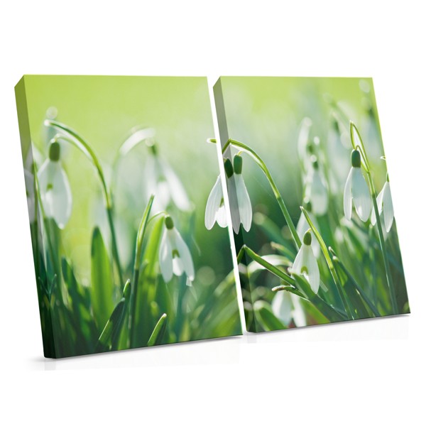 Sneeuwstorm en Dauwlente Bloemen Canvas Print