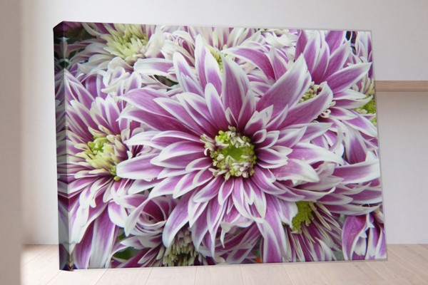 Ανοιξιάτικη Ανθοδέσμη Canvas Print - στον τοίχο σε εσωτερικό χώρο