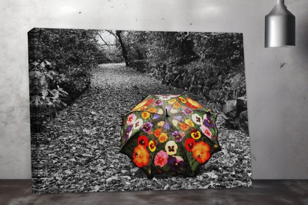 Kleurrijke Wilde Bloemen in Herfstbos Canvas Print - aan de muur in een interieur