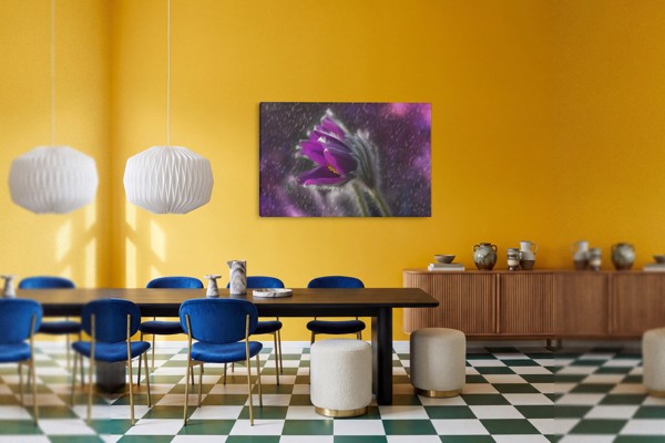Paarse Bloem in Regen Canvas Print - aan de muur in een interieur