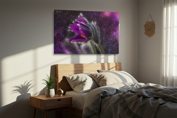 Paarse Bloem in Regen Canvas Print - aan de muur in een interieur