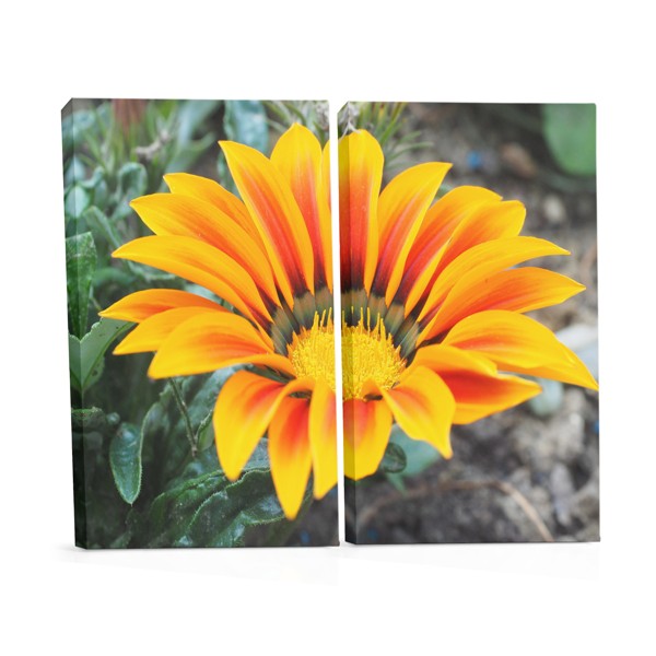 Plátno Jarný Gerbera s Farebným Akcentom