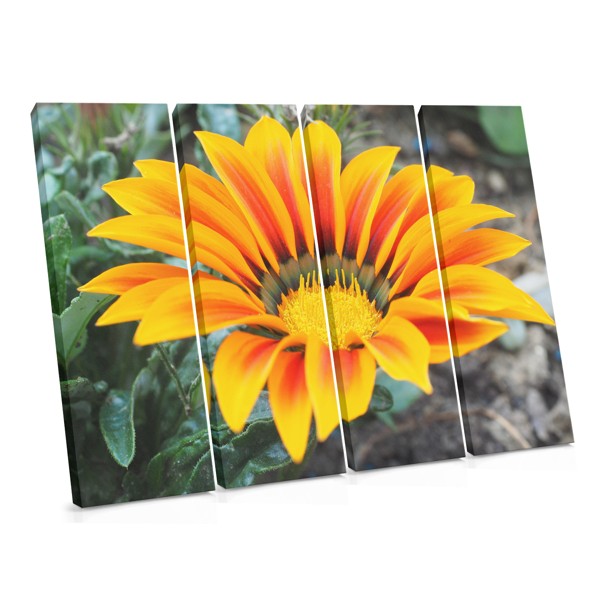 Stampa su Tela Gerbera Primaverile con Accento Cromatico