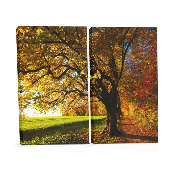 Toile Imprimée Chemin Forêt d'Automne