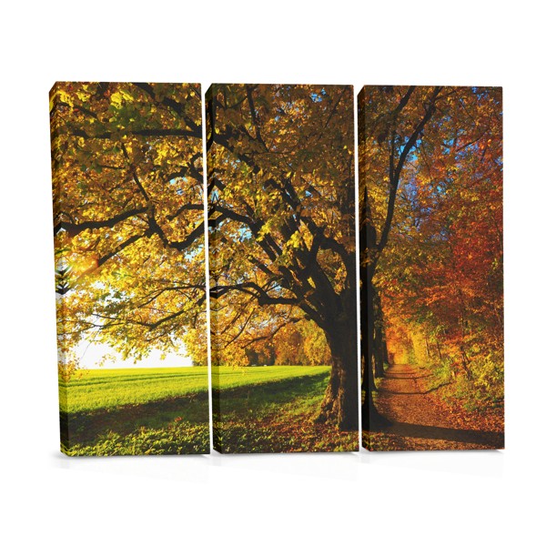 Autumn Forest Path Canvas Print